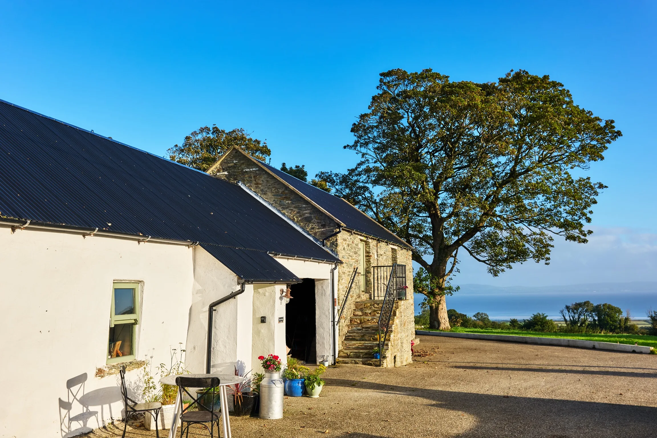 The stone barn and whitewashed cottage under the great oak, the barn's lower door open and Lough Foyle beyond under a clear blue sky